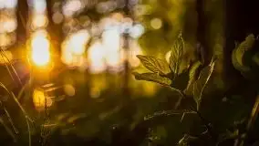 Zachód słońca w okolicy Kut i jeziora Czarna Kuta - zdjęcie 5