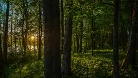 Zachód słońca w okolicy Kut i jeziora Czarna Kuta - zdjęcie 12