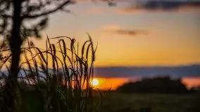 Zachód słońca w okolicy Kut i jeziora Czarna Kuta - zdjęcie 42