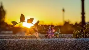 Majowy zachód słońca w Węgorzewie - zdjęcie 38