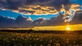 Magiczny, czerwcowy zachód słońca w Sztynorcie - zdjęcie 24