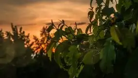 Zachód słońca w okolicach miejscowości Miłki - zdjęcie 29