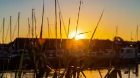 Wschód słońca w Giżycku, jezioro Niegocin - zdjęcie 44