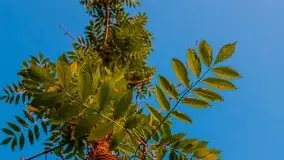 Zachód słońca Pierkunowski Róg - zdjęcie 38