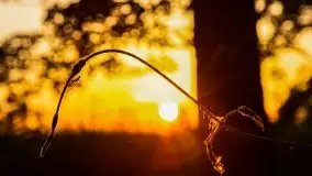 Zachód słońca Pierkunowski Róg - zdjęcie 39