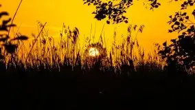 Zachód słońca Pierkunowski Róg - zdjęcie 32