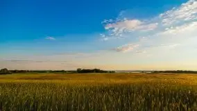 Niegocin migoczący w zachodzącym słońcu - zdjęcie 3