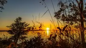 Niegocin migoczący w zachodzącym słońcu - zdjęcie 28