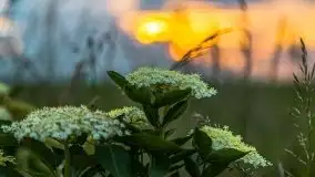 Zachód słońca w okolicach Upałt Małych - zdjęcie 9