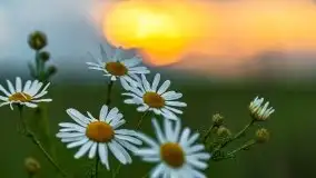 Zachód słońca w okolicach Upałt Małych - zdjęcie 11