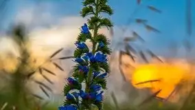 Zachód słońca w okolicach Upałt Małych - zdjęcie 12