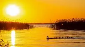 Zachód słońca, Skłodowo i jezioro Mamry - zdjęcie 4