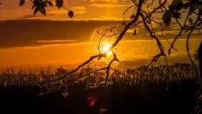 Czerwcowe Mazury na zdjęciach Stanisława Sielewicza - zdjęcie 9