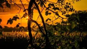 Czerwcowe Mazury na zdjęciach Stanisława Sielewicza - zdjęcie 13