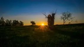 Czerwcowe Mazury na zdjęciach Stanisława Sielewicza - zdjęcie 5