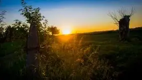 Czerwcowe Mazury na zdjęciach Stanisława Sielewicza - zdjęcie 18