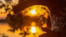 Zachód słońca nad jeziorem Gawlik - zdjęcie 12