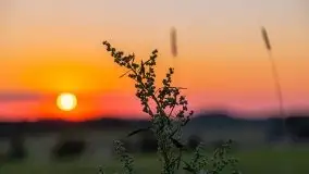 Zachód słońca nad jeziorem Gawlik - zdjęcie 43