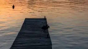 Zachód słońca, Tło dla Mew i Marina Rydzewo - zdjęcie 31