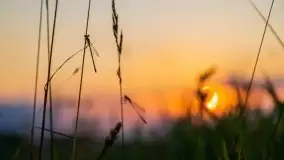 Zachód Słońca nad kanałem Jeglińskim - zdjęcie 43