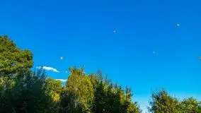 Balony nad Ełkiem 2020 - zdjęcie 19