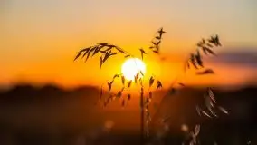 Zachód słońca w Wilkaskach - zdjęcie 1