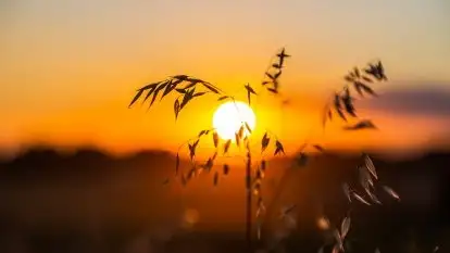 Zachód słońca w Wilkaskach