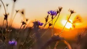 Zachód słońca w Wilkaskach - zdjęcie 18