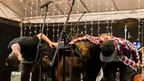 Cheap Tobacco w porcie Sztynort, lipiec 2020 - zdjęcie 22