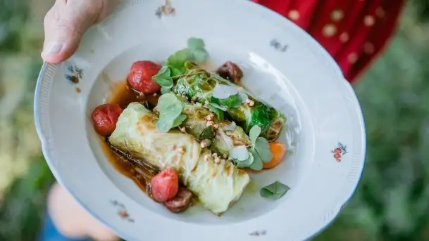 Zdjęcia: Leśne uczty na Mazurach  - zdjęcie 4