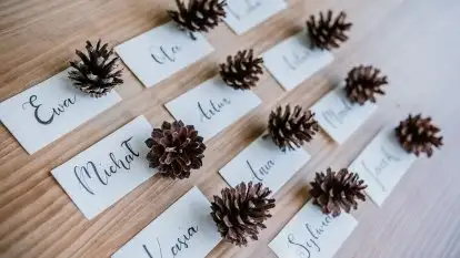 Zdjęcia: Leśne uczty na Mazurach 