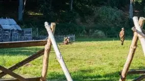 Operacja Boyen, sierpień 2020 - zdjęcie 70