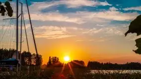 Jezioro Ryńskie, Zatoka Mrówcza - zdjęcie 9