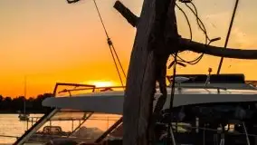 Zachód słońca w Tle Dla Mew, sierpień 2020 r. - zdjęcie 12