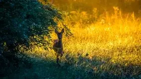 Piękno letnich, sierpniowych Mazur - zdjęcie 1