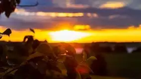Zachód Słońca przy miejscowości Sterławki, sierpień 2020 r. - zdjęcie 9