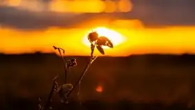 Zachód Słońca przy miejscowości Sterławki, sierpień 2020 r. - zdjęcie 15