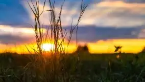 Zachód Słońca przy miejscowości Sterławki, sierpień 2020 r. - zdjęcie 17