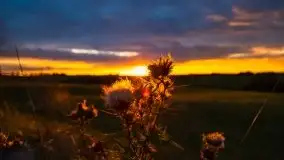 Zachód Słońca przy miejscowości Sterławki, sierpień 2020 r. - zdjęcie 20