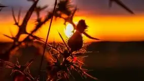 Zachód Słońca przy miejscowości Sterławki, sierpień 2020 r. - zdjęcie 18