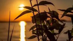 Zachód słońca nad jeziorem Dargin - zdjęcie 28