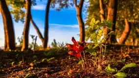 Zachód słońca nad jeziorem Dargin - zdjęcie 40