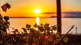 Zachód słońca nad jeziorem Dargin - zdjęcie 48