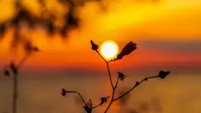 Wrześniowy zachód słońca w porcie Nowy Harsz, jez. Dargin - zdjęcie 32