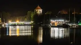 Nocne Tło Dla Mew, wrzesień 2020 r. - zdjęcie 12