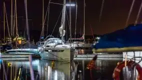 Nocne Tło Dla Mew, wrzesień 2020 r. - zdjęcie 16