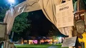 Nocne Tło Dla Mew, wrzesień 2020 r. - zdjęcie 25