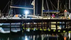 Nocne Tło Dla Mew, wrzesień 2020 r. - zdjęcie 26