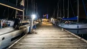 Nocne Tło Dla Mew, wrzesień 2020 r. - zdjęcie 29