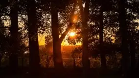 Zachód słońca nad jeziorem Niegocin - zdjęcie 1